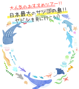ヤビジを見に行こう！