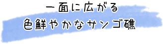 一面に広がる色鮮やかなサンゴ礁