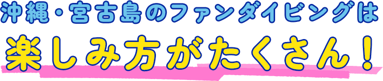 沖縄・宮古島のファンダイビングは楽しみ方がたくさん