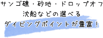 サンゴ礁・砂地・ドロップオフ・沈船などの選べるダイビングポイントが豊富！