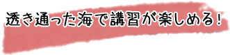 透き通った海で講習が楽しめる！