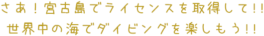 さあ！宮古島でライセンスを取得して！！世界中の海でダイビングをしよう！！