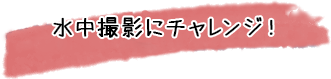 講習の始まりは、足の着く場所からスタートなので安心！