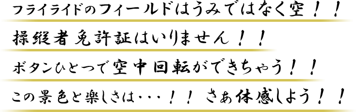 フライライドのフィールドはうみではなく空！！ 操縦者免許証はいりません！！ ボタンひとつで空中回転ができちゃう！！ この景色と楽しさは・・・！！ さぁ体感しよう！！