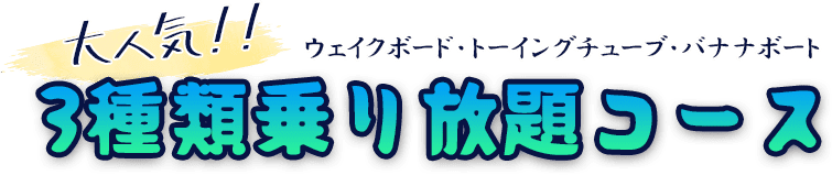 3種類乗り放題コース