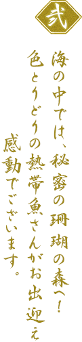 海の中では、秘密の珊瑚の森へ！ 色とりどりの熱帯魚さんがお出迎え感動でございます。