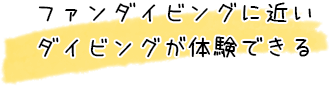 マンタ・イルカ・ウミガメ・サメなど多種多様な生物に出会える喜び！