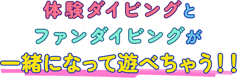 沖縄・宮古島のファンダイビングは楽しみ方がたくさん