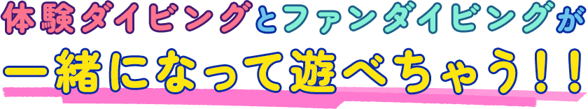 沖縄・宮古島のファンダイビングは楽しみ方がたくさん