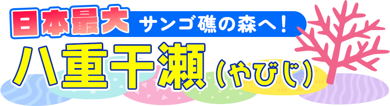 日本最大のサンゴ礁の森へ！八重干瀬（やびじ）