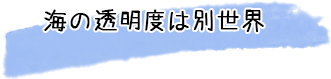 海の透明度は別世界