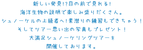新しい発見!?目の前で見れる!海洋生物の説明で楽しみ盛りだくさん。 シュノーケルの上級者へ!素潜りの練習もできちゃう！ そしてツアー思い出の写真もプレゼント！大満足シュノーケリングツアーを開催しております。