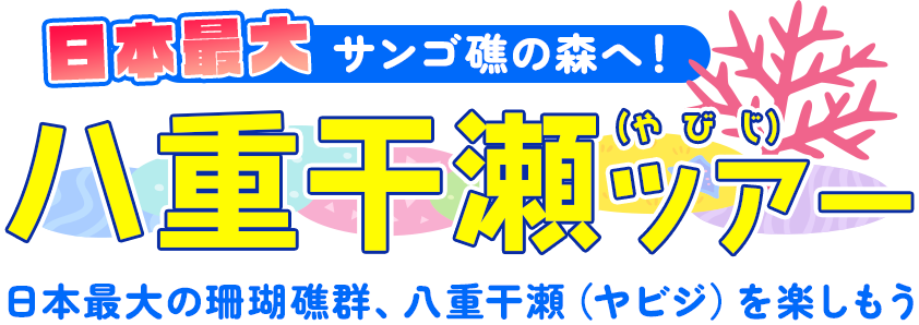 日本最大の珊瑚礁群、八重干瀬（ヤビジ）を楽しもう
