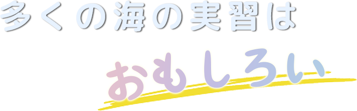 多くの海の実習はおもしろい